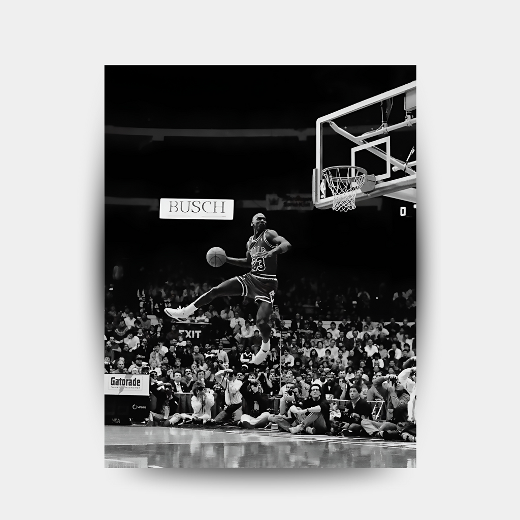 Michael Jordan-Airborne master
