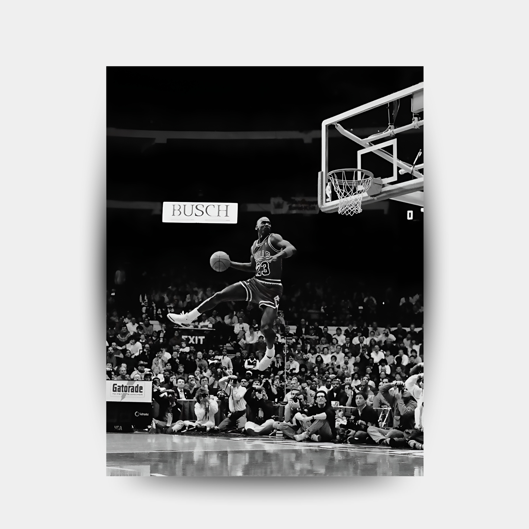 Michael Jordan-Airborne master