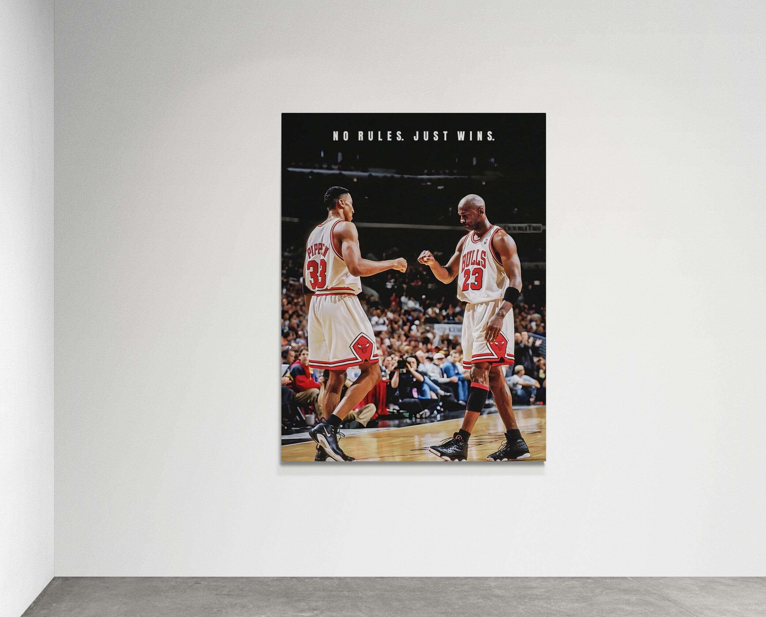 Michael Jordan -NO RULES JUST WINS